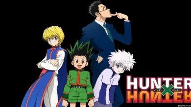 Hunter x Hunter Pode Voltar do Hiato Ainda Esse Ano 2 hunter x hunter hiato