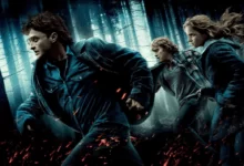 Harry Potter Ordem Dos Filmes